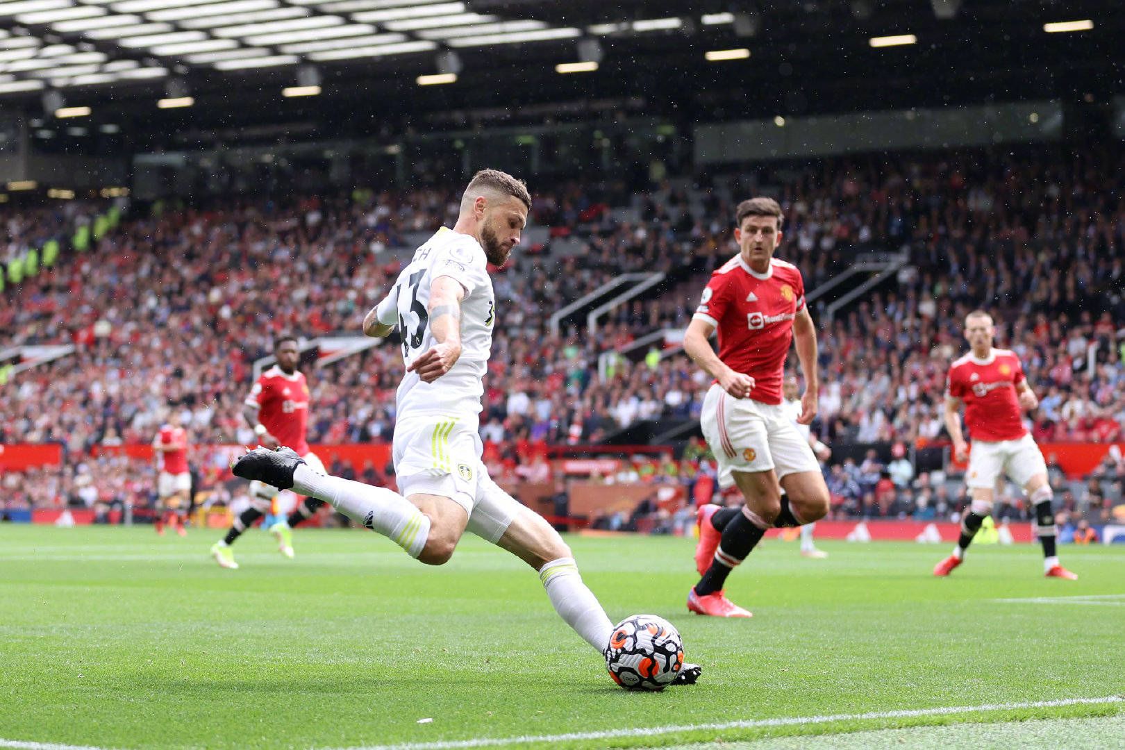 助于降低皮 助于降低皮